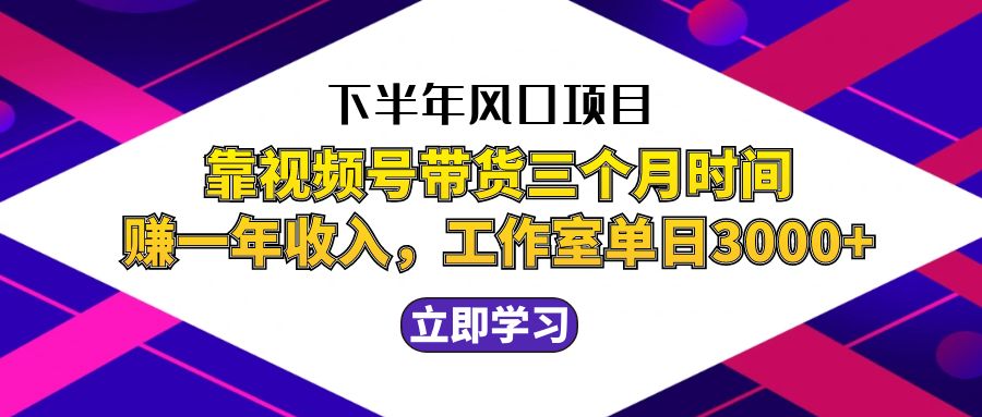 （12849期）下半年风口项目，靠视频号带货三个月时间赚一年收入，工作室实测单日3… - 严选资源大全 - 严选资源大全