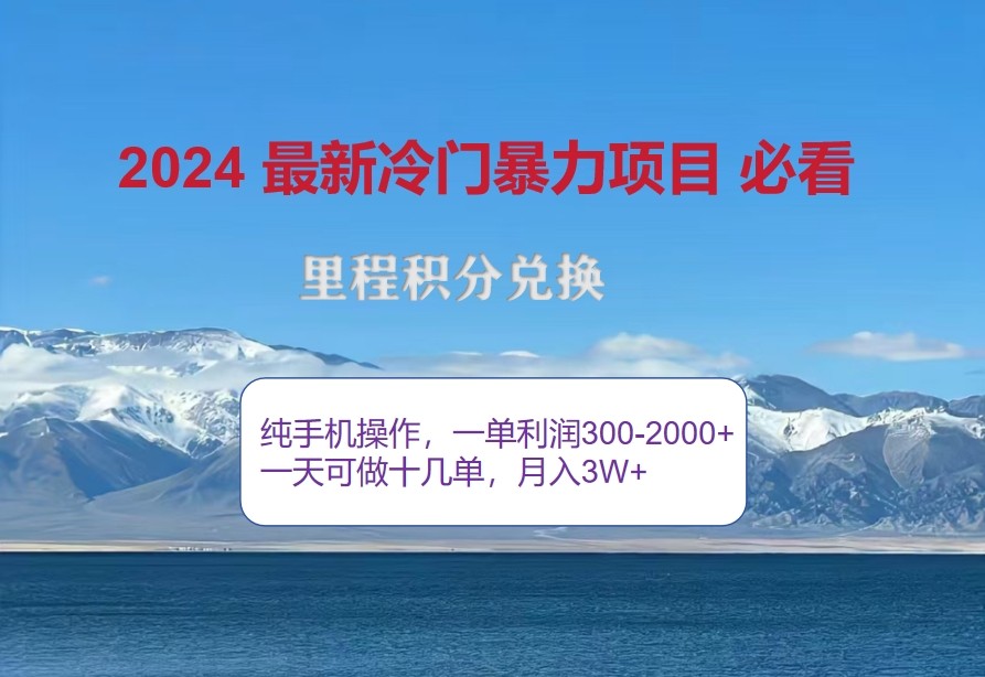 2024惊爆冷门暴利，里程积分最新玩法，高爆发期，一单300+—2000+ - 严选资源大全 - 严选资源大全