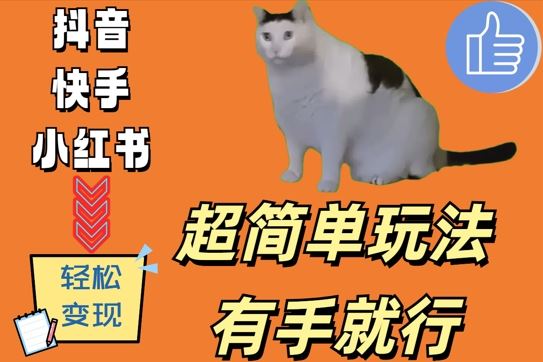 超简单玩法，有手就行，靠猫咪视频日入500+【揭秘】 - 严选资源大全 - 严选资源大全