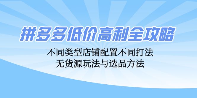 （12897期）拼多多低价高利全攻略：不同类型店铺配置不同打法，无货源玩法与选品方法 - 严选资源大全 - 严选资源大全