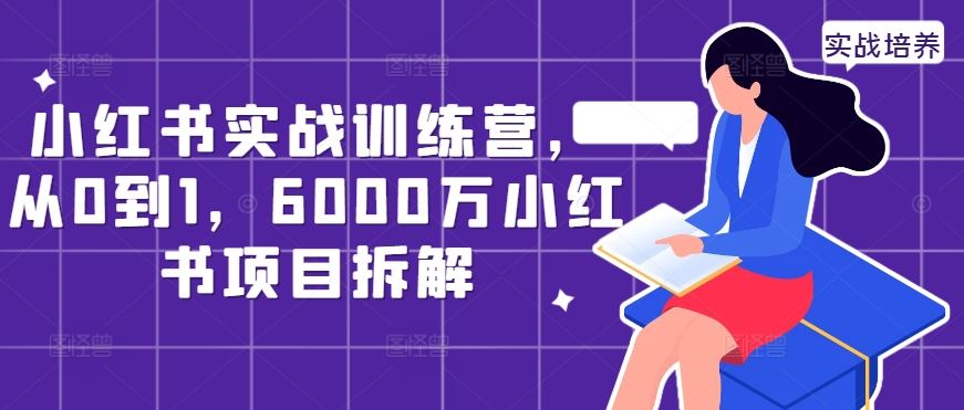 小红书实战训练营，从0到1，6000万小红书项目拆解 - 严选资源大全 - 严选资源大全