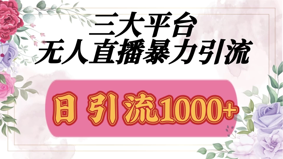 三大平台无人直播引流法，日引流1000+ - 严选资源大全 - 严选资源大全