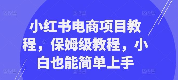 小红书电商项目教程，保姆级教程，小白也能简单上手 - 严选资源大全 - 严选资源大全