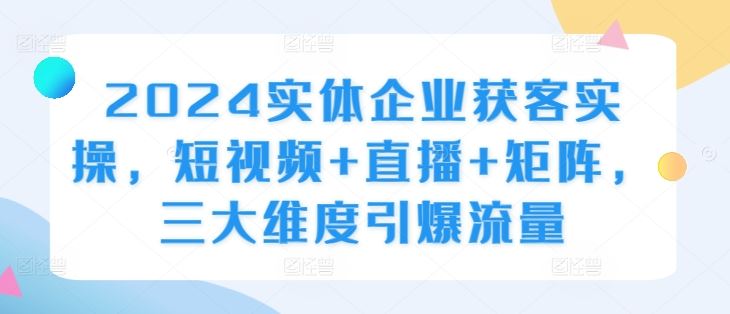 2024实体企业获客实操，短视频+直播+矩阵，三大维度引爆流量 - 严选资源大全 - 严选资源大全