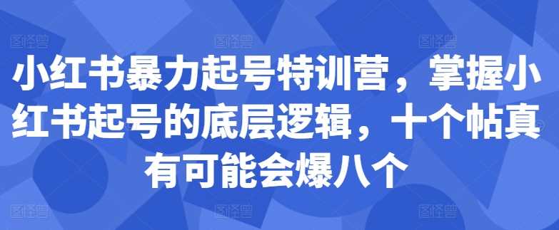 小红书暴力起号特训营，掌握小红书起号的底层逻辑，十个帖真有可能会爆八个 - 严选资源大全 - 严选资源大全