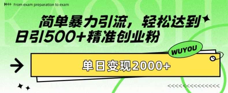 简单暴力引流，轻松达到日引500+精准创业粉，单日变现2k【揭秘】 - 严选资源大全 - 严选资源大全