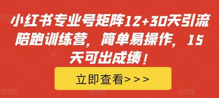 小红书专业号矩阵12+30天引流陪跑训练营，简单易操作，15天可出成绩! - 严选资源大全 - 严选资源大全