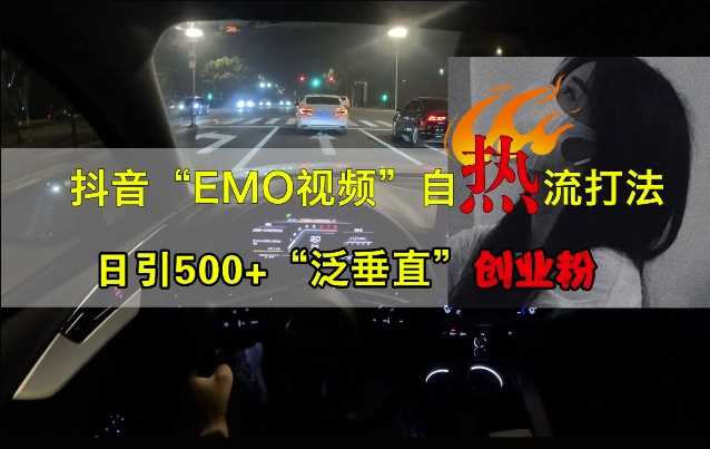 抖音EMO视频自热打法，日引500+“泛垂直”创业粉 - 严选资源大全 - 严选资源大全