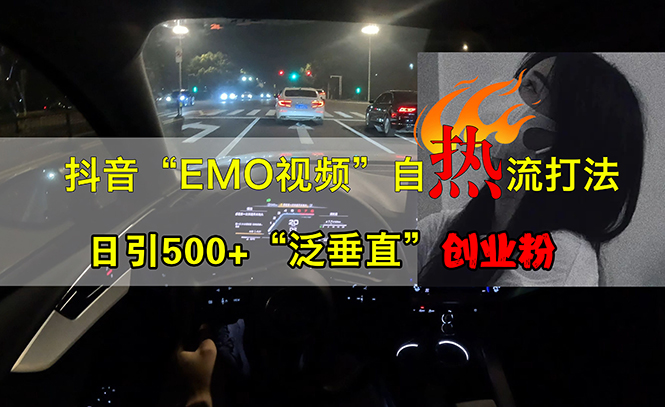 （13029期）抖音EMO视频自热打法，日引500+“泛垂直”创业粉 - 严选资源大全 - 严选资源大全