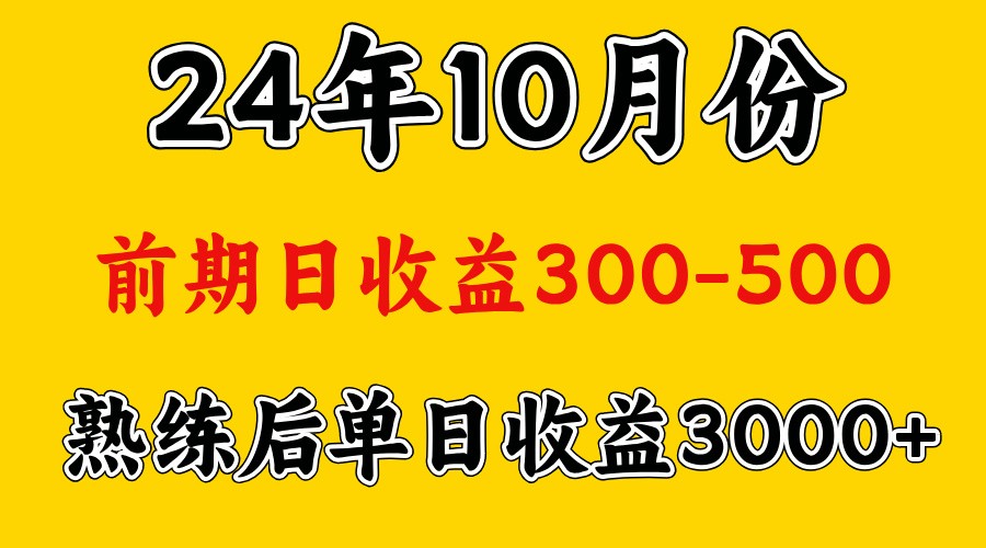 高手是怎么赚钱的.前期日收益500+熟练后日收益3000左右 - 严选资源大全 - 严选资源大全