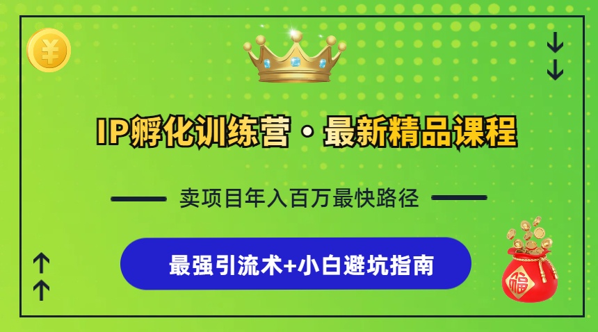 （13055期）IP孵化训练营，知识付费全流程+最强引流术+小白避坑指南 - 严选资源大全 - 严选资源大全