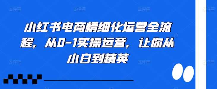 小红书电商精细化运营全流程，从0-1实操运营，让你从小白到精英 - 严选资源大全 - 严选资源大全