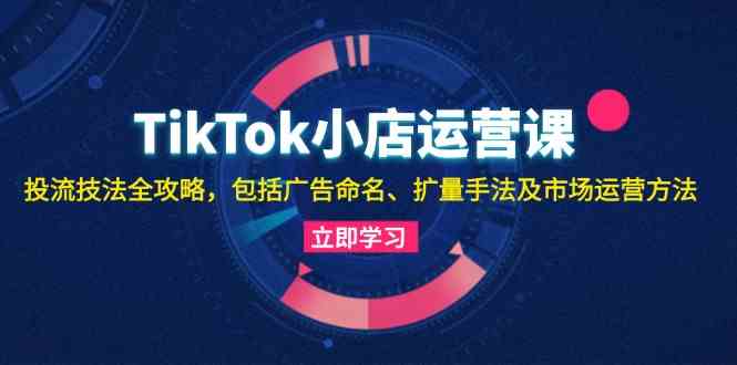 TikTok小店运营课：投流技法全攻略，包括广告命名 扩量手法及市场运营方法 - 严选资源大全 - 严选资源大全