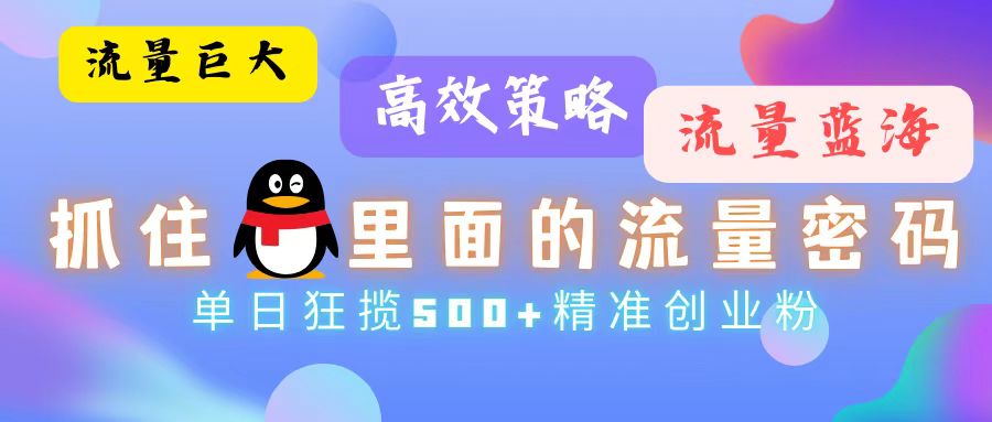 （13068期）流量蓝海，抓住QQ里面的流量密码！高效策略，单日狂揽500+精准创业粉 - 严选资源大全 - 严选资源大全