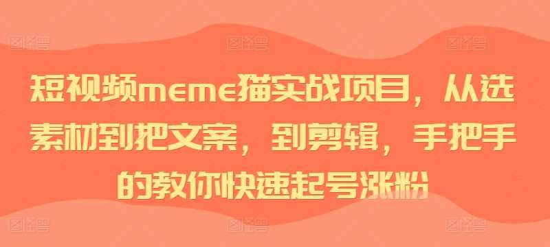 短视频meme猫实战项目，从选素材到把文案，到剪辑，手把手的教你快速起号涨粉 - 严选资源大全 - 严选资源大全