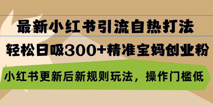 （13145期）最新小红书引流自热打法，轻松日吸300+精准宝妈创业粉，小红书更新后新… - 严选资源大全 - 严选资源大全