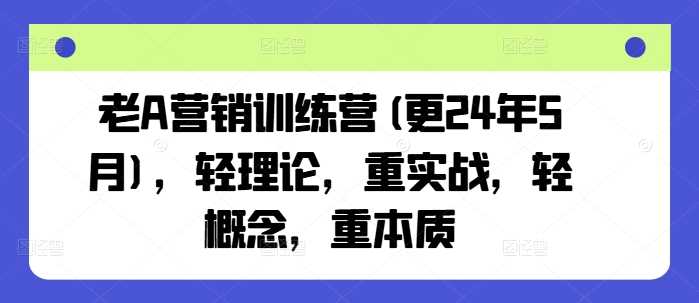 老A营销训练营(更24年10月)，轻理论，重实战，轻概念，重本质 - 严选资源大全 - 严选资源大全