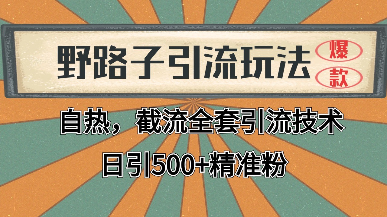 抖音小红书视频号全平台引流打法，全自动引流日引2000+精准客户 - 严选资源大全 - 严选资源大全