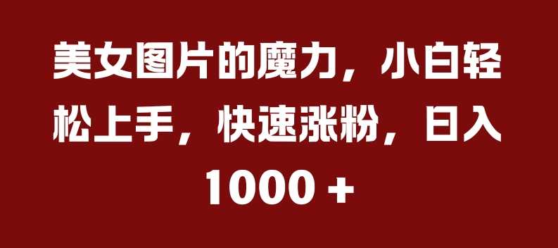 美女图片的魔力，小白轻松上手，快速涨粉，日入几张【揭秘】 - 严选资源大全 - 严选资源大全