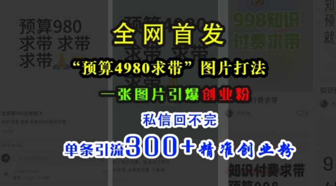 小红书“预算4980带我飞”图片打法，一张图片引爆创业粉，私信回不完，单条引流300+精准创业粉 - 严选资源大全 - 严选资源大全