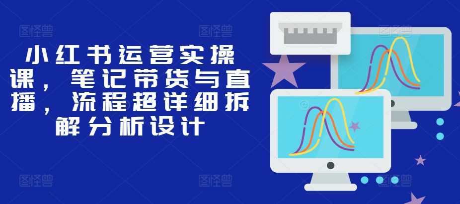 小红书运营实操课，笔记带货与直播，流程超详细拆解分析设计 - 严选资源大全 - 严选资源大全