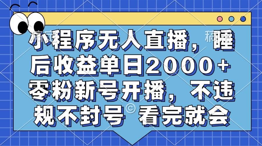 （13251期）小程序无人直播，睡后收益单日2000+ 零粉新号开播，不违规不封号 看完就会 - 严选资源大全 - 严选资源大全