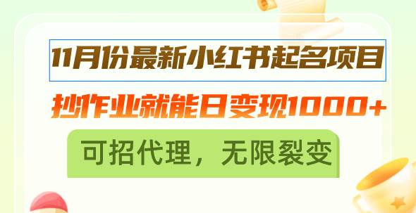 （13256期）11月份最新小红书起名项目，抄作业就能日变现1000+，可招代理，无限裂变 - 严选资源大全 - 严选资源大全