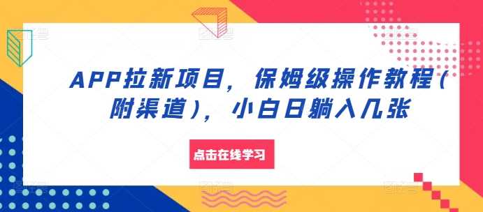 APP拉新项目，保姆级操作教程(附渠道)，小白日躺入几张【揭秘】 - 严选资源大全 - 严选资源大全