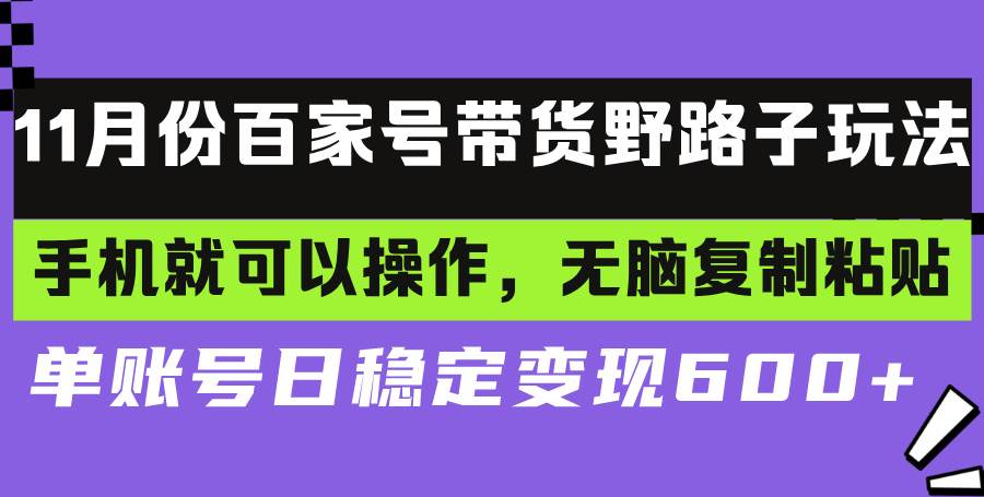 （13281期）百家号带货野路子玩法 手机就可以操作，无脑复制粘贴 单账号日稳定变现… - 严选资源大全 - 严选资源大全