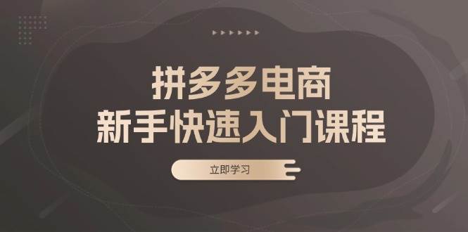 （13289期）拼多多电商新手快速入门课程：涵盖基础、实战与选款，助力小白轻松上手 - 严选资源大全 - 严选资源大全