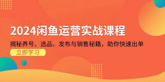 （13290期）2024闲鱼运营实战课程：揭秘养号、选品、发布与销售秘籍，助你快速出单 - 严选资源大全 - 严选资源大全