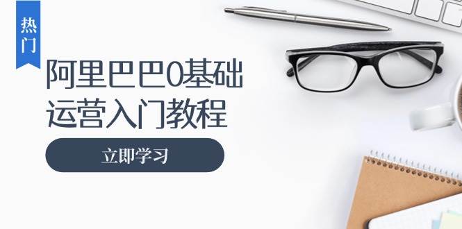 （13291期）阿里巴巴运营零基础入门教程：涵盖开店、运营、推广，快速成为电商高手 - 严选资源大全 - 严选资源大全