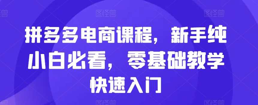 拼多多电商课程，新手纯小白必看，零基础教学快速入门 - 严选资源大全 - 严选资源大全