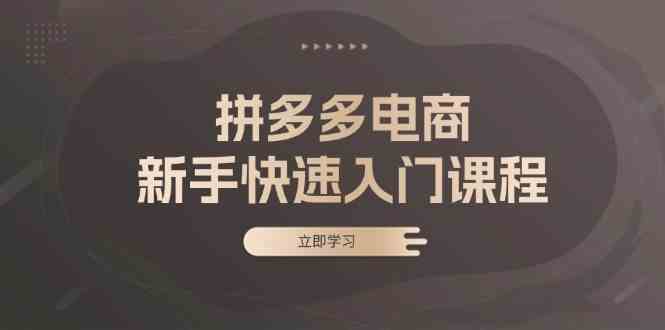 拼多多电商新手快速入门课程：涵盖基础、实战与选款，助力小白轻松上手 - 严选资源大全 - 严选资源大全