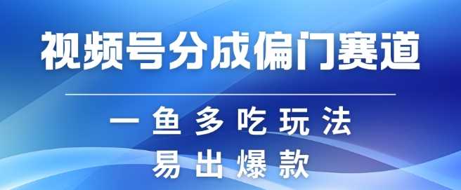 视频号创作者分成计划偏门类目，容易爆流，实拍内容简单易做【揭秘】 - 严选资源大全 - 严选资源大全