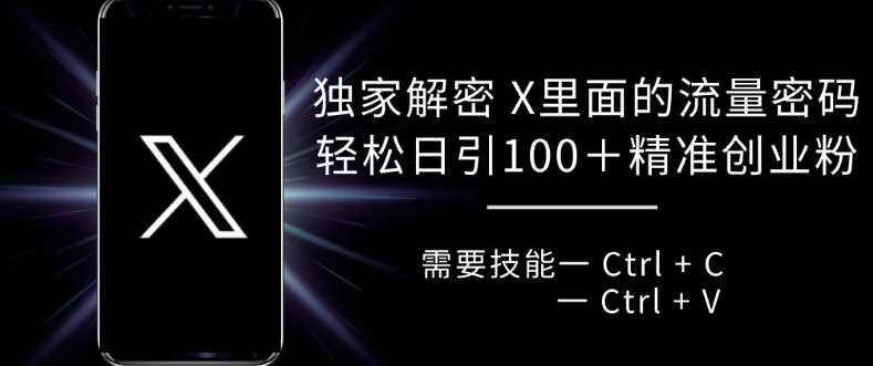 独家解密 X 里面的流量密码，复制粘贴轻松日引100+ - 严选资源大全 - 严选资源大全