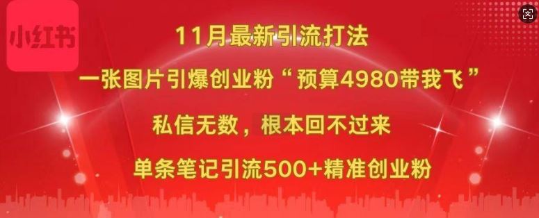 小红书11月最新图片打粉，一张图片引爆创业粉，“预算4980带我飞”，单条引流500+精准创业粉 - 严选资源大全 - 严选资源大全