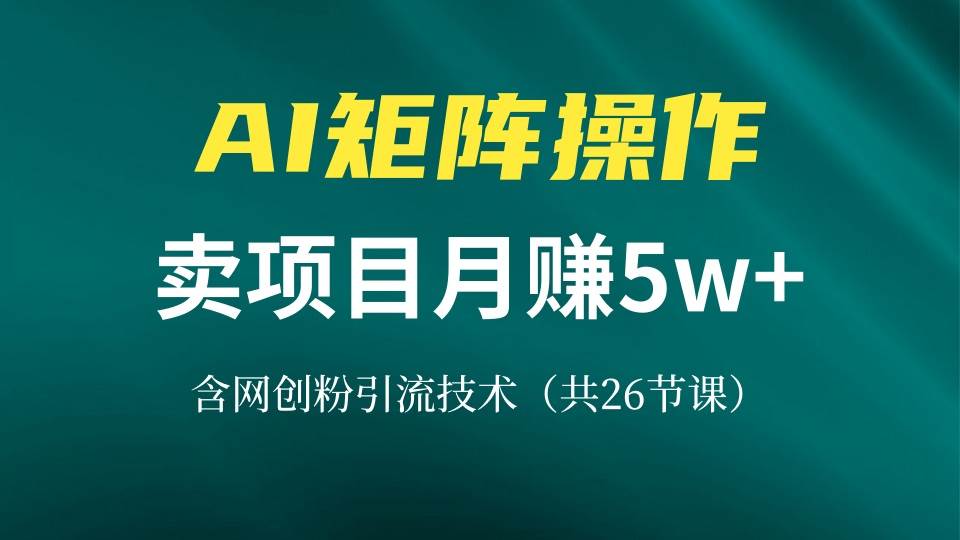 （13335期）网创IP打造课，借助AI卖项目月赚5万+，含引流技术（共26节课） - 严选资源大全 - 严选资源大全