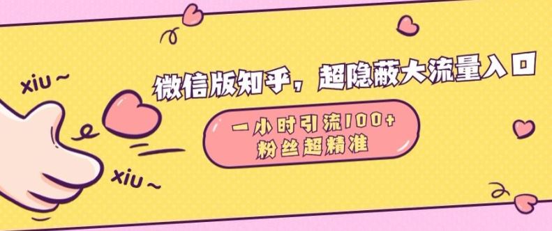 微信版知乎，超隐蔽流量入口1小时引流100人，粉丝质量超高【揭秘】 - 严选资源大全 - 严选资源大全