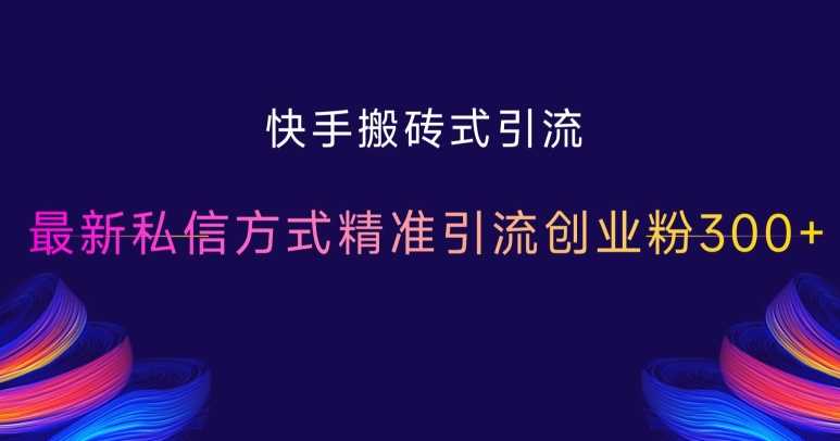 快手搬砖式引流，最新私信方式精准引流创业粉300+ - 严选资源大全 - 严选资源大全