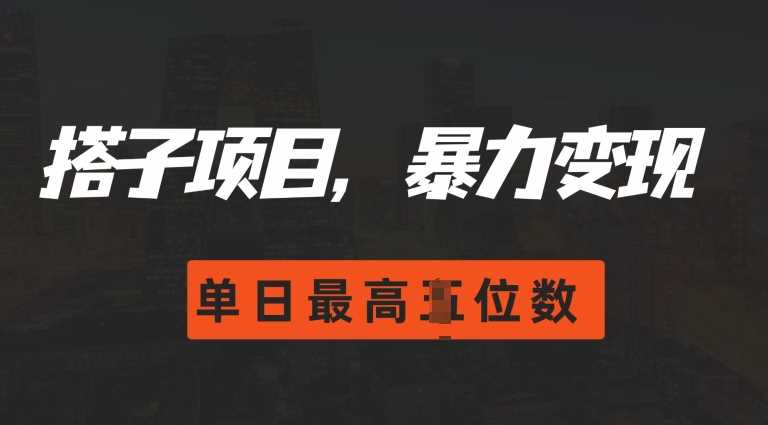 2024搭子玩法，0门槛，暴力变现，单日最高破四位数【揭秘】 - 严选资源大全 - 严选资源大全