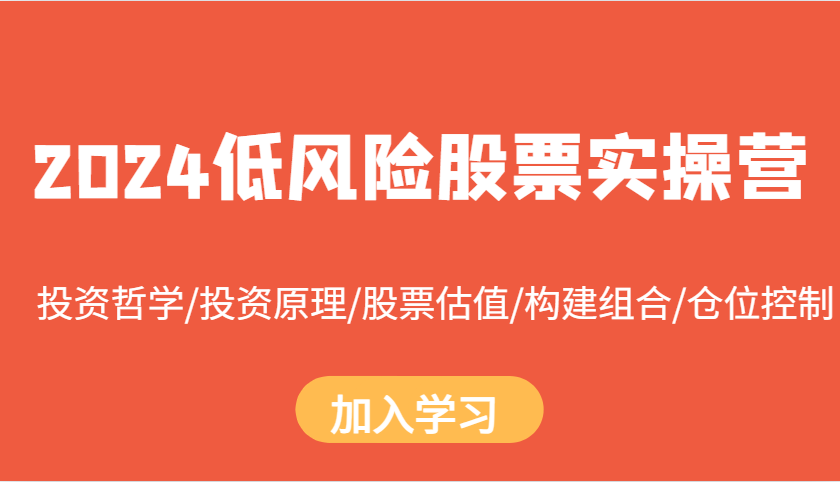 2024低风险股票实操营：投资哲学/投资原理/股票估值/构建组合/仓位控制 - 严选资源大全 - 严选资源大全