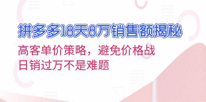 （13383期）拼多多18天8万销售额揭秘：高客单价策略，避免价格战，日销过万不是难题 - 严选资源大全 - 严选资源大全