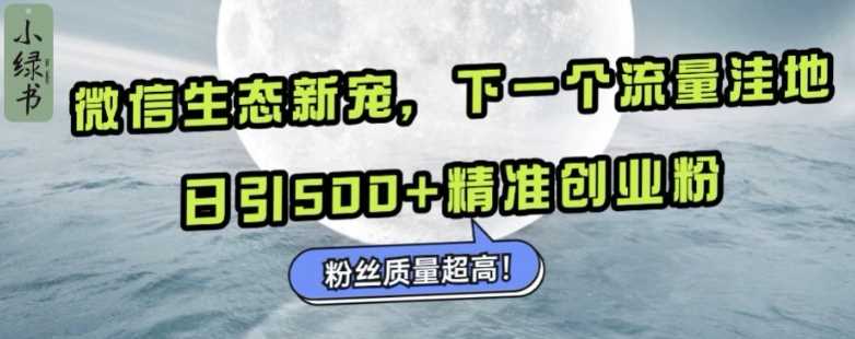 微信生态新宠小绿书：下一个流量洼地，日引500+精准创业粉，粉丝质量超高 - 严选资源大全 - 严选资源大全