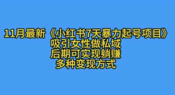 K总部落11月最新小红书7天暴力起号项目，吸引女性做私域【揭秘】 - 严选资源大全 - 严选资源大全