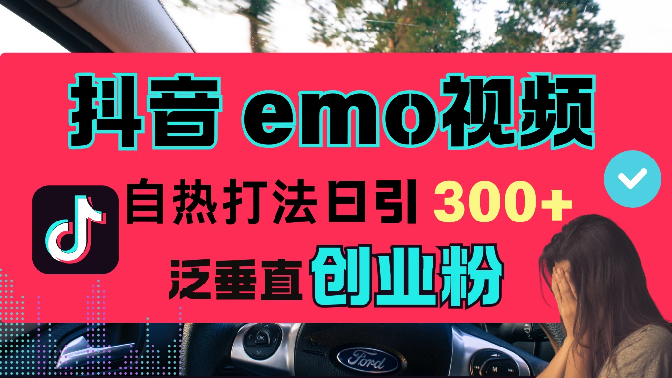 抖音“EMO视频”自热流打法，日引300+泛垂直创业粉 - 严选资源大全 - 严选资源大全