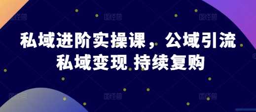 私域进阶实操课，公域引流 私域变现 持续复购 - 严选资源大全 - 严选资源大全