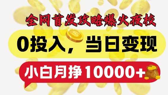 全网首发爆火夜校，0投入，当日变现，小白轻松月入1w+【揭秘】 - 严选资源大全 - 严选资源大全