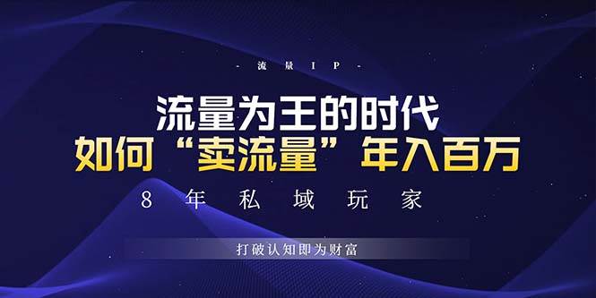 （13433期）未来如何通过“卖流量”年入百万，跨越一切周期绝对蓝海项目 - 严选资源大全 - 严选资源大全