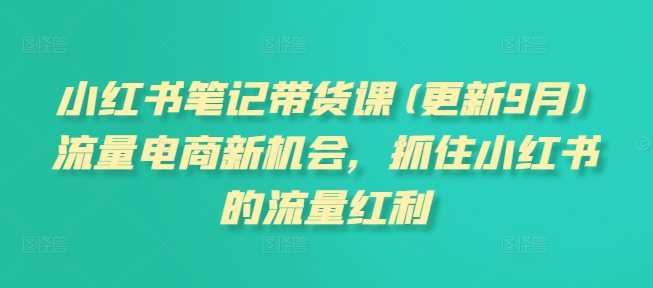 小红书笔记带货课(更新11月)流量电商新机会，抓住小红书的流量红利 - 严选资源大全 - 严选资源大全